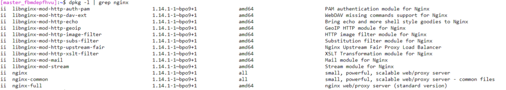 Web server details for NGINX.