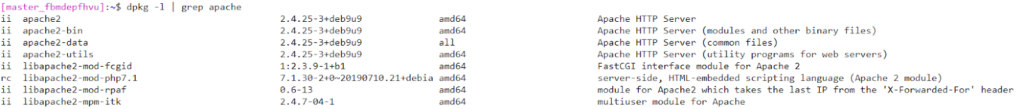 Web server details for Apache.