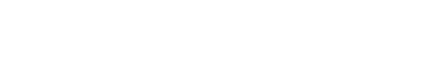 Adobe Solution Partner Logo