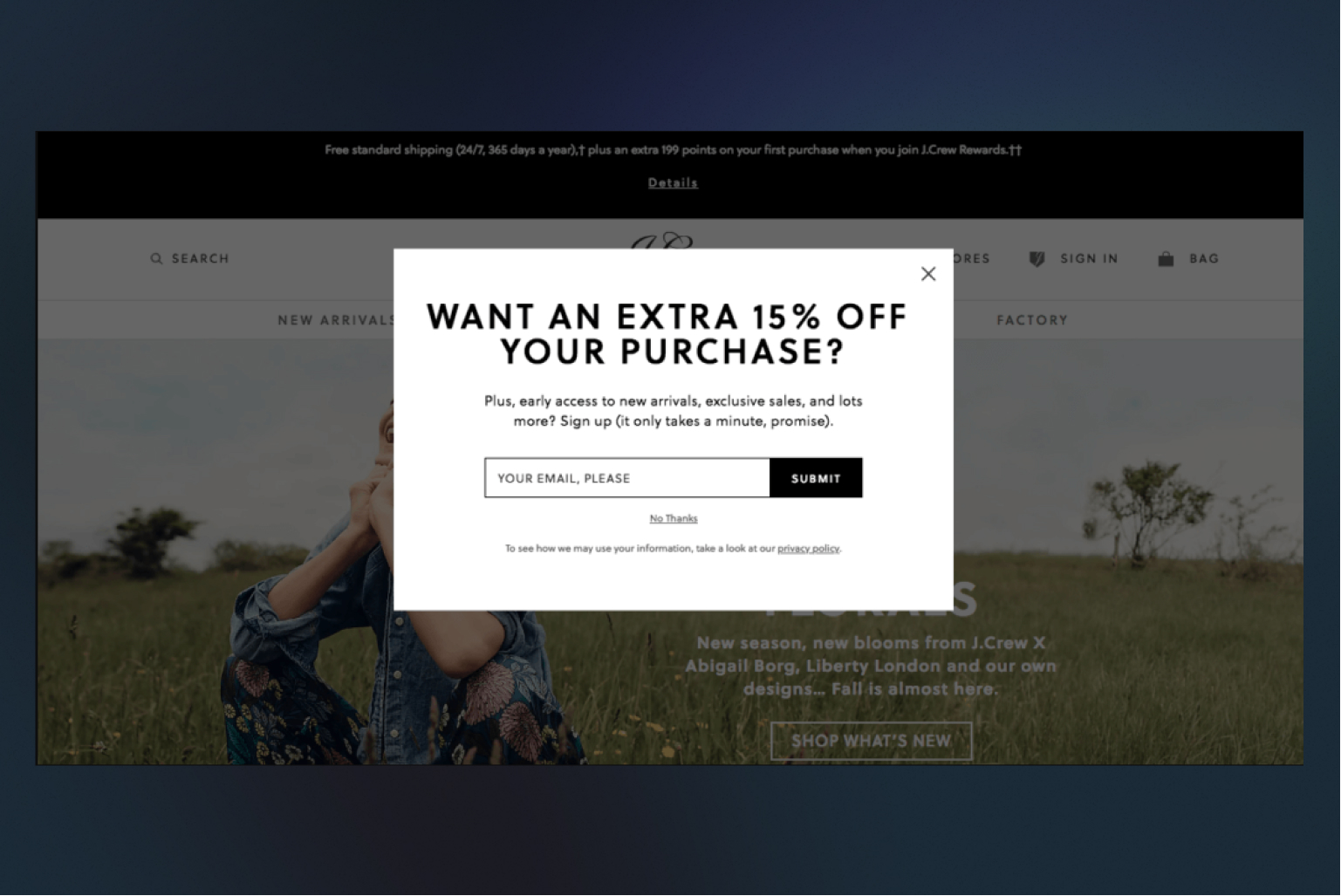 eCommerce landing page exit pop-up