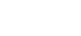 Adobe Solution Partner Logo