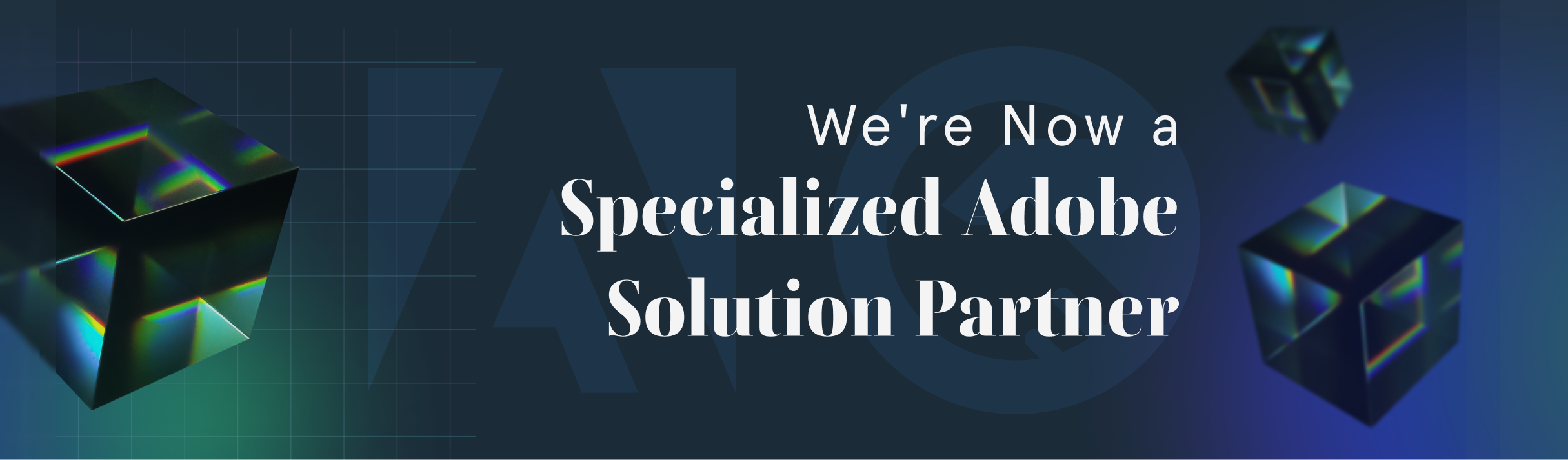 specialized Adobe Solution Partner
